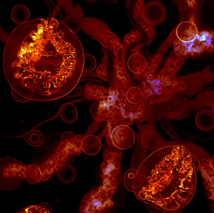 Von Cotu: Favorites: Relative Perception