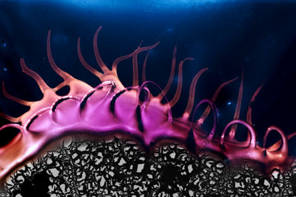 Von Cotu: Favorites: Psychedelic Velcro