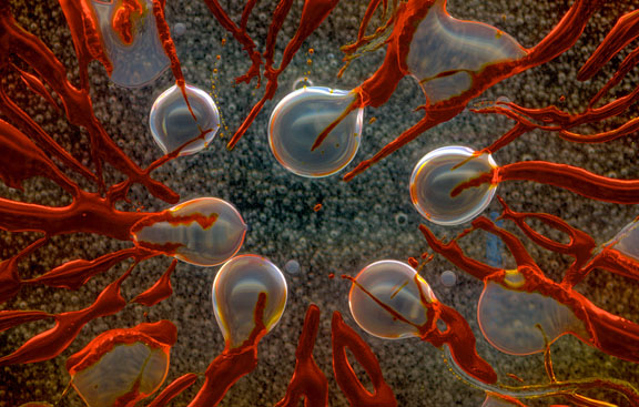 Von Cotu at an exhibition
