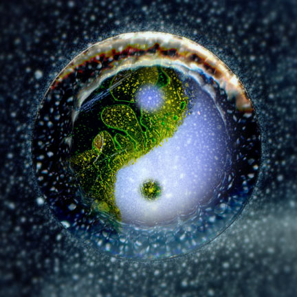 Von Cotu: Favorites: True Self