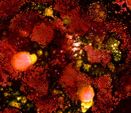 Von Cotu: Favorites: Micro Universe 2