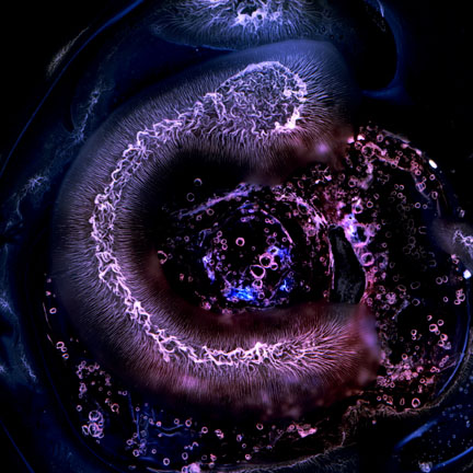 Von Cotu: Favorites: Discovery