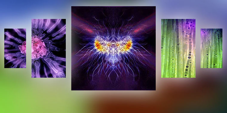 PYRO CHEMOGRAPHY - Works painted with fire and chemicals on photographic film